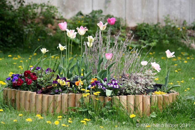 2011-04-23 Quincy etc (7).jpg